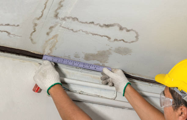 Reliable Basement Water Removal contractor in Roosevelt, UT by Water Damage Irwin
